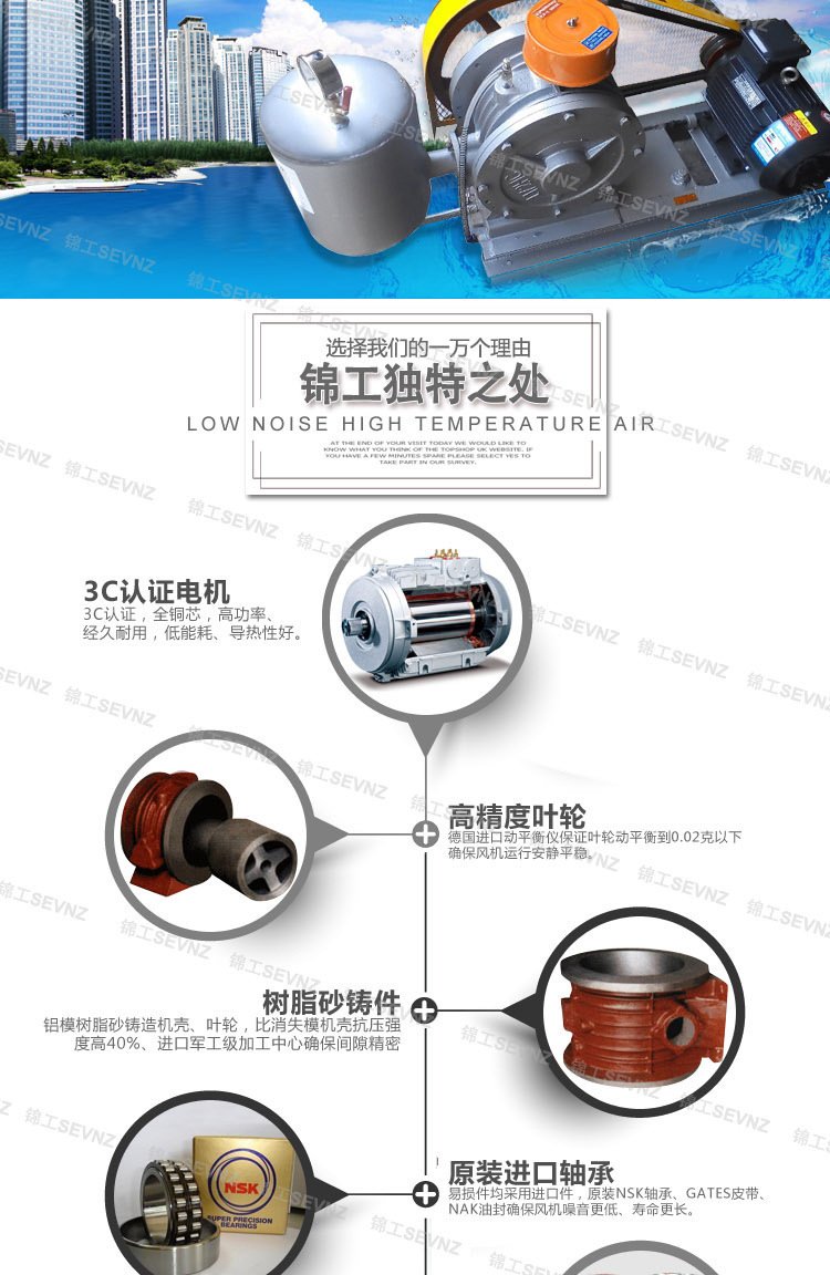 回轉(zhuǎn)式鼓風(fēng)機(jī)