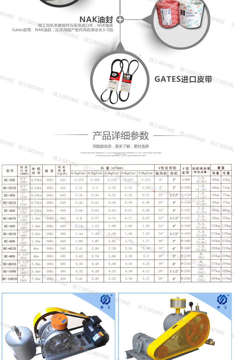 回轉(zhuǎn)式鼓風(fēng)機(jī)